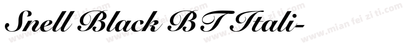 Snell Black BT Itali字体转换